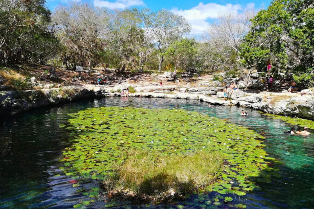 Cenotes bonitos cerca de Mérida